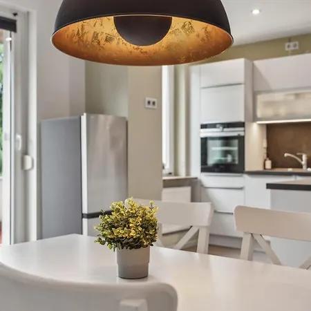 Apartment Modernes Mit Kamin Und Doppelbalkon